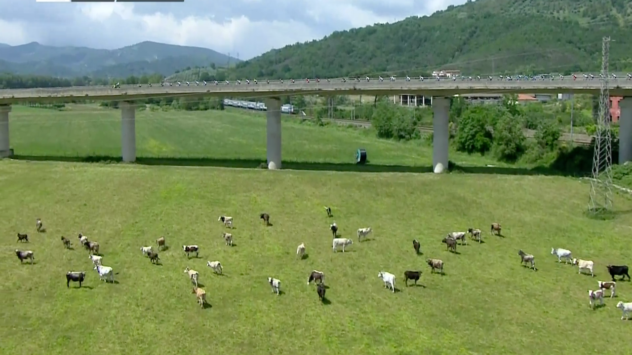 Giro d’Italia 2018 – Stage 08 [FULL STAGE]