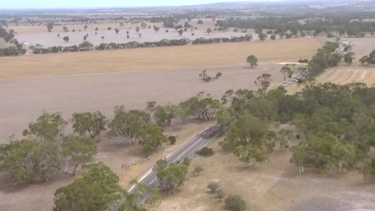 Tour Down Under 2019 - Stage 5 [LAST 15 KM]