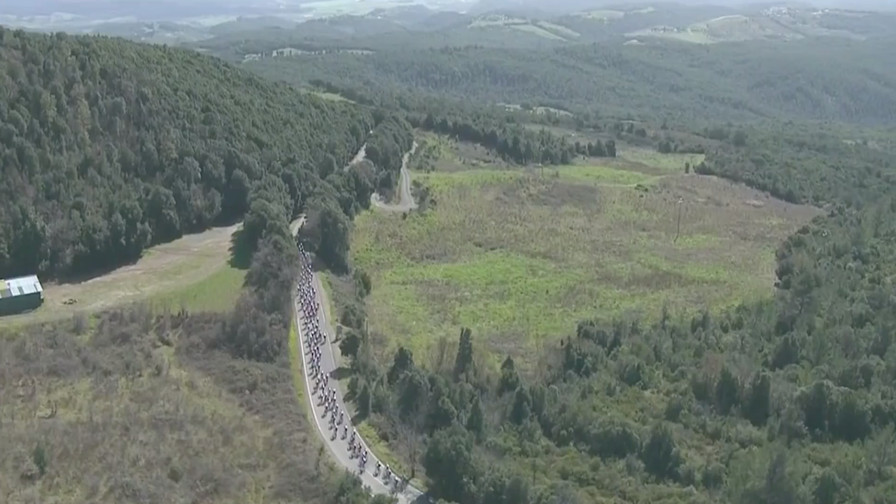 Tirreno-Adriatico 2019 - Stage 2 [FULL STAGE]