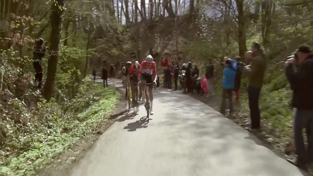 Dwars door Vlaanderen 2019 [FULL RACE]