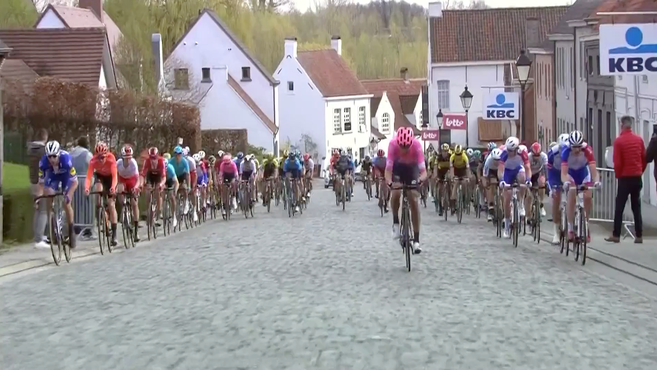 Dwars door Vlaanderen 2019 [LAST 30 KM]