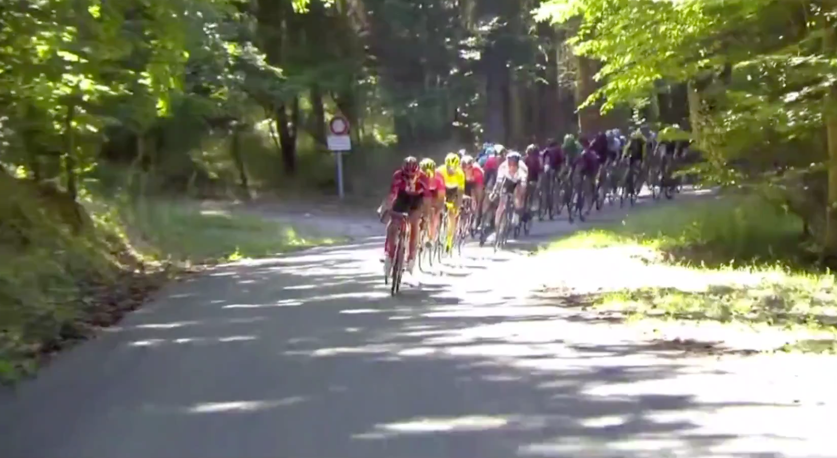 Tour de France 2019 - Stage 5 [LAST 25 KM]