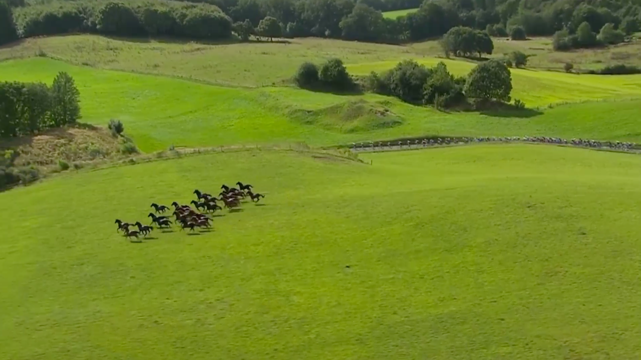 Tour of Denmark 2019 – Stage 3 [FULL STAGE]