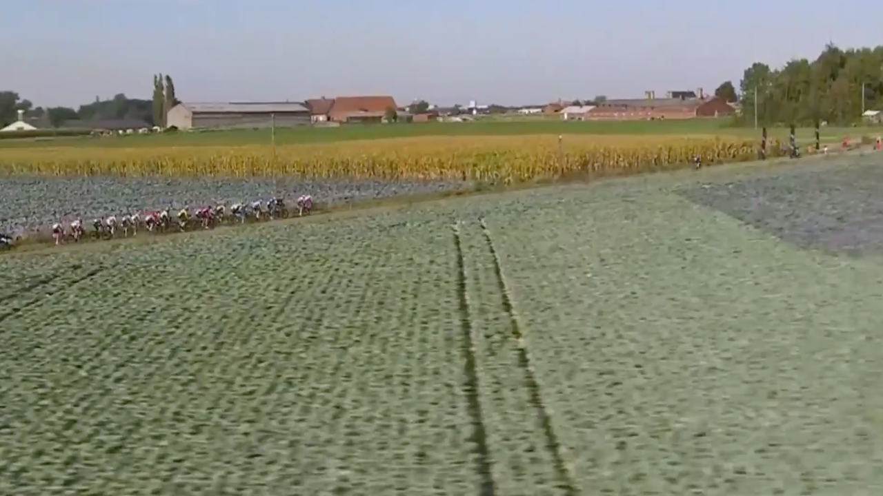 Kampioenschap van Vlaanderen 2019 [FULL RACE]