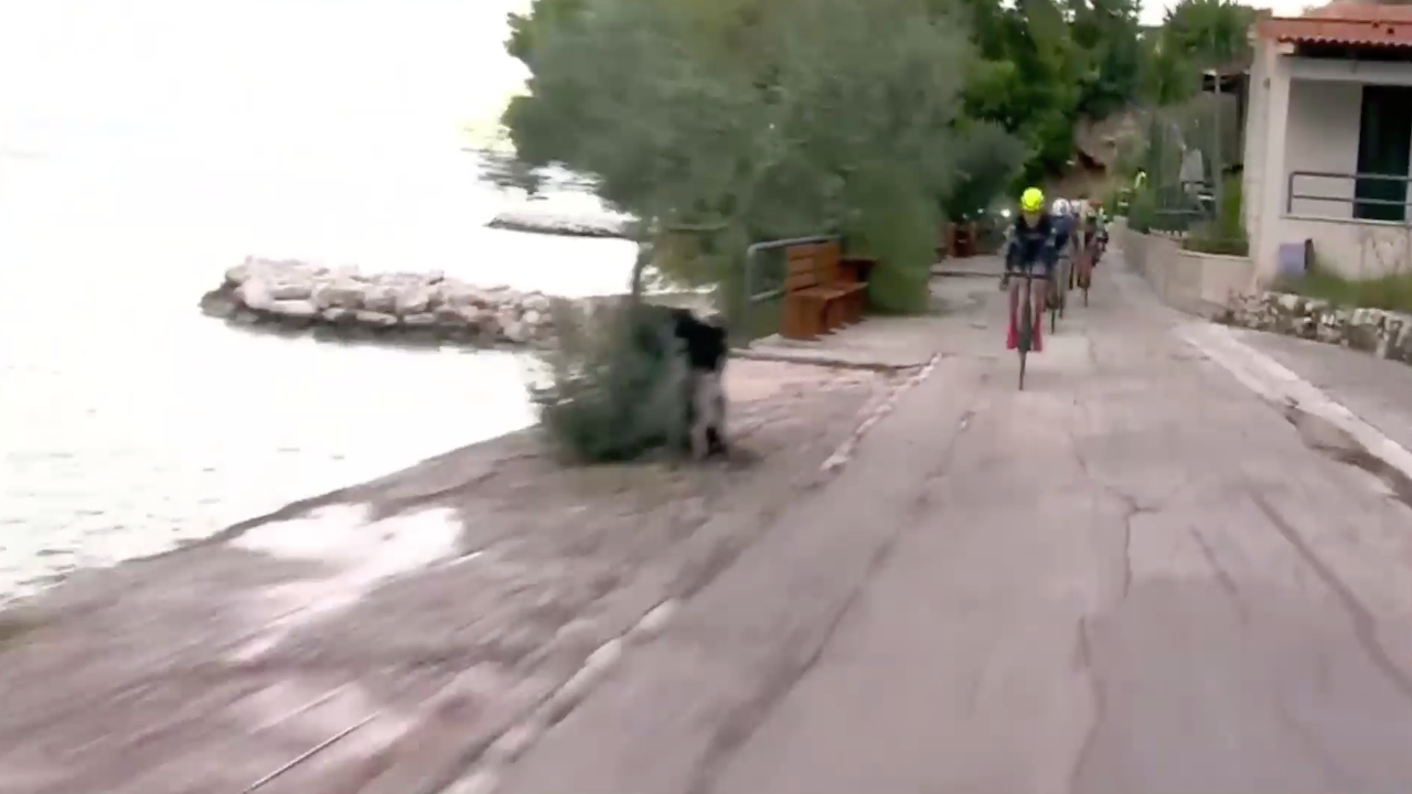 CRO Race 2019 - Stage 3 [FULL RACE]