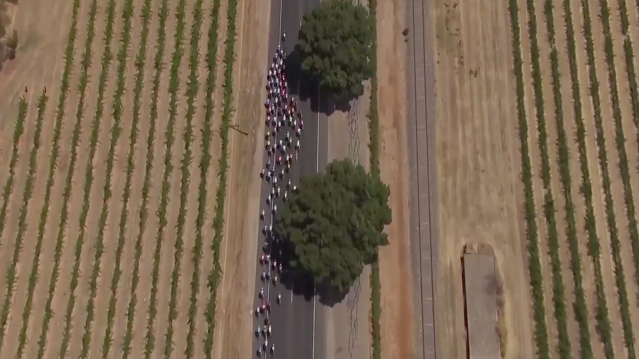 Tour Down Under 2020 - Stage 1 [LAST 15 KM]