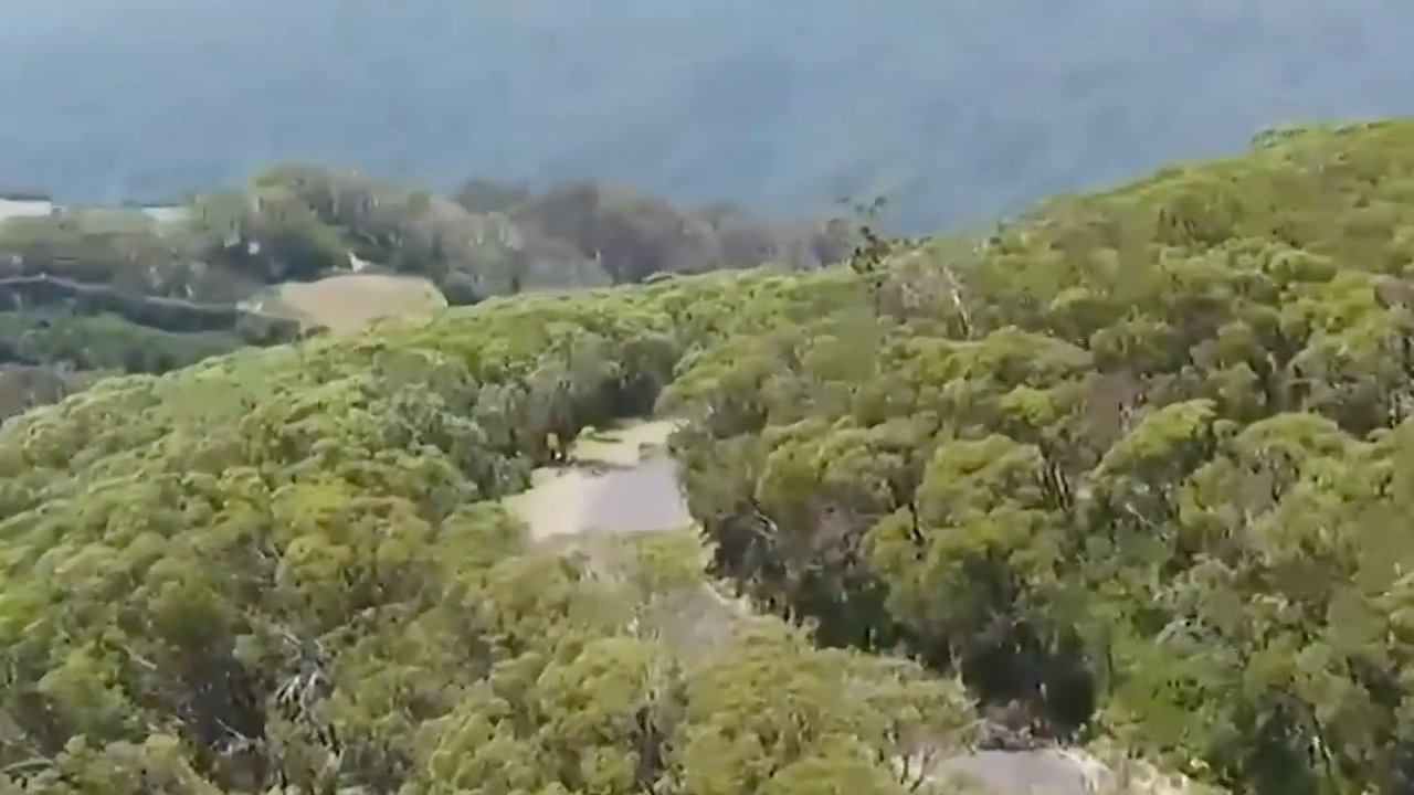 Jayco Herald Sun Tour 2020 - Stage 4 [FULL RACE]