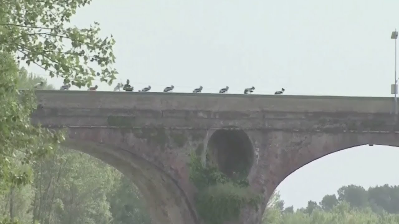 Giro d’Italia 2014 – Stage 10 [FULL STAGE]