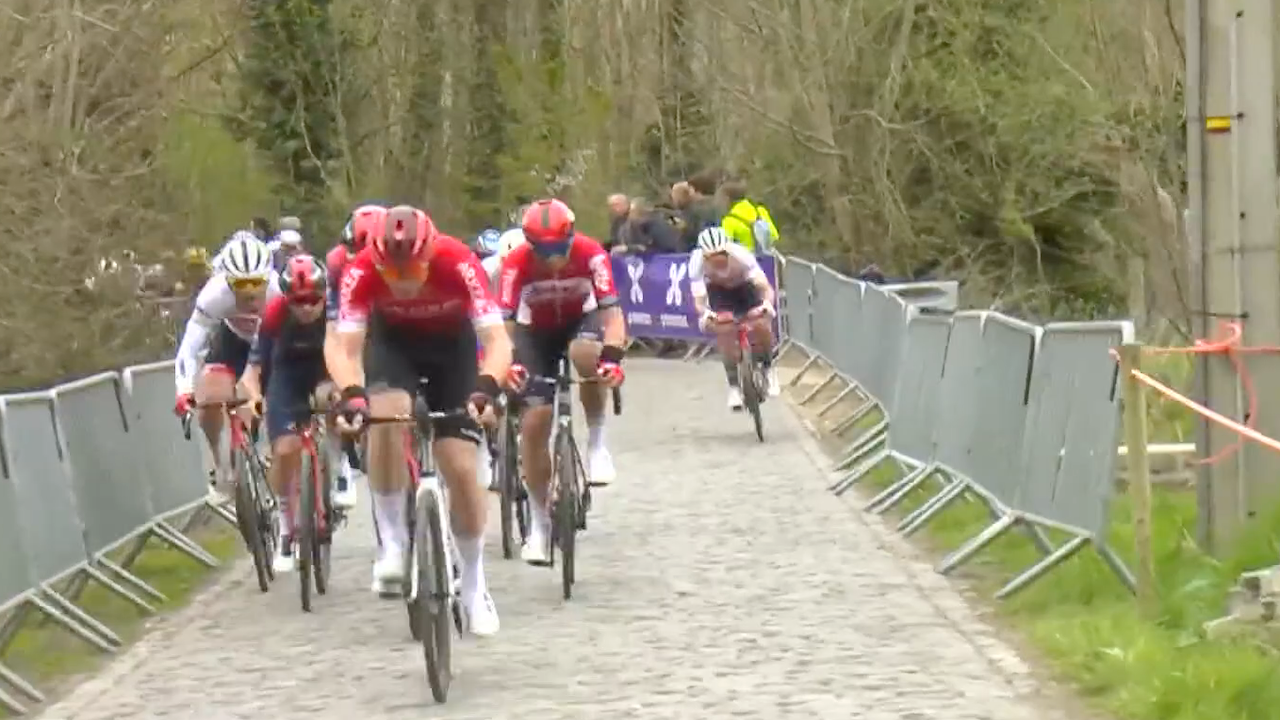Dwars door Vlaanderen 2022 [FULL RACE]