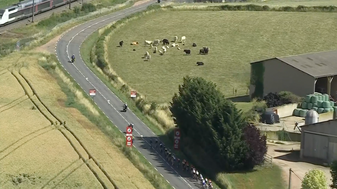 Criterium du Dauphiné 2022 - Stage 5 [LAST 10 KM]