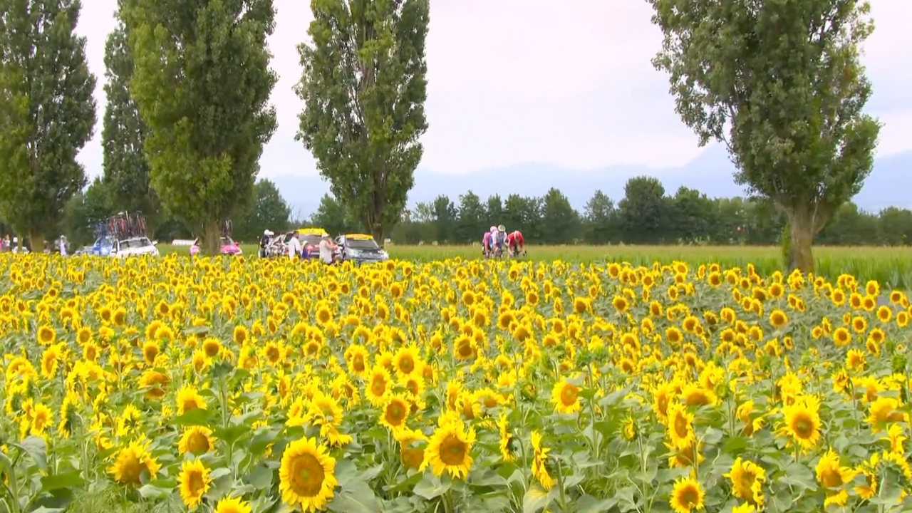 Tour de France 2023 - Stage 11 [FULL STAGE]