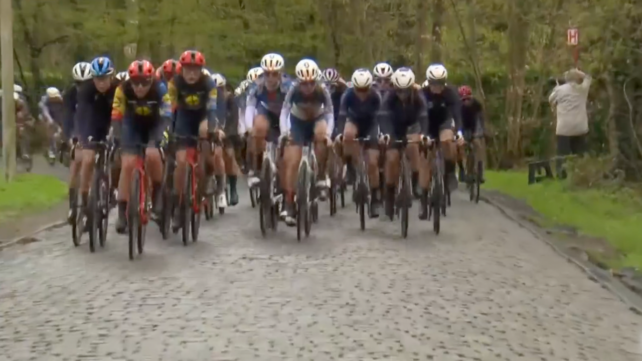 Scheldeprijs 2024 [FULL RACE] (ladies)