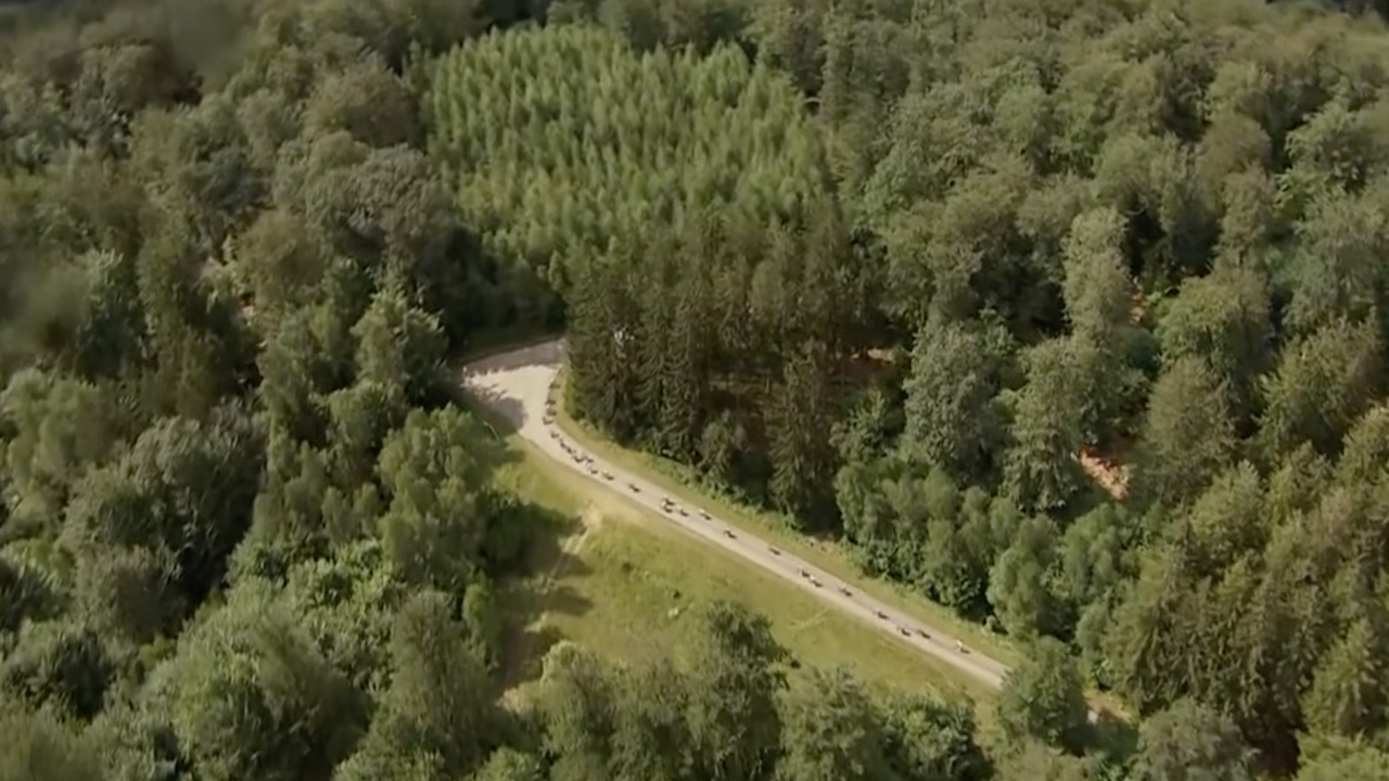 Tour de Wallonie 2024 – Stage 3 [FULL STAGE]