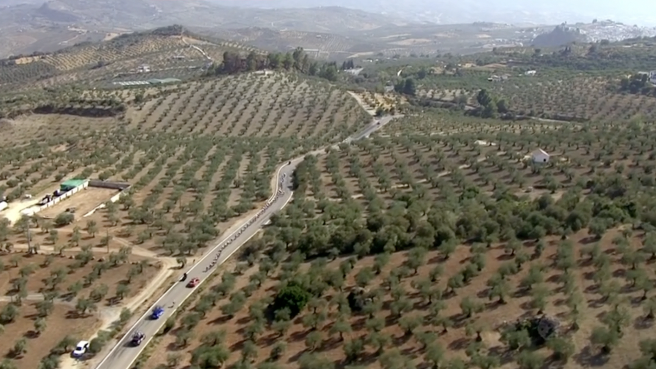 La Vuelta 2024 – Stage 06 [LAST 10 KM]