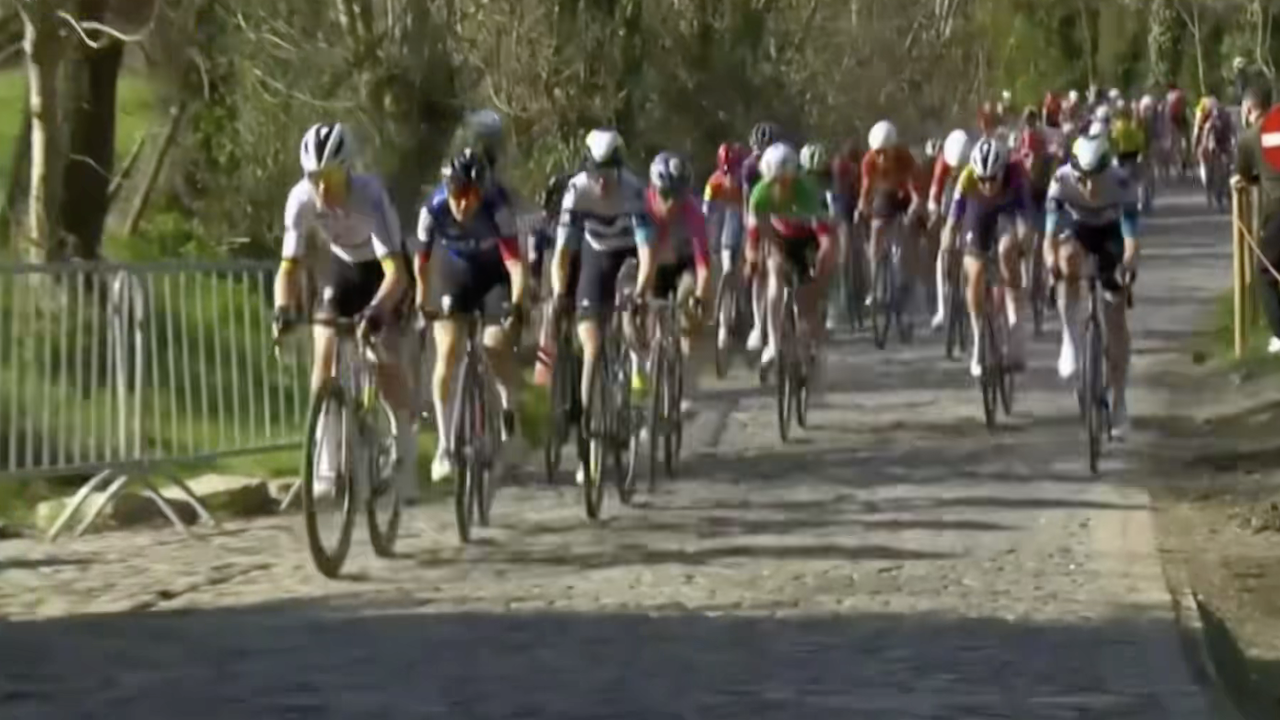 Dwars door Vlaanderen 2025 [FULL RACE] (ladies)