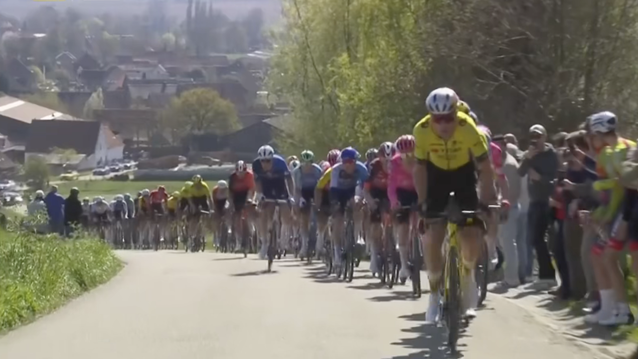 Dwars door Vlaanderen 2025 [FULL RACE]