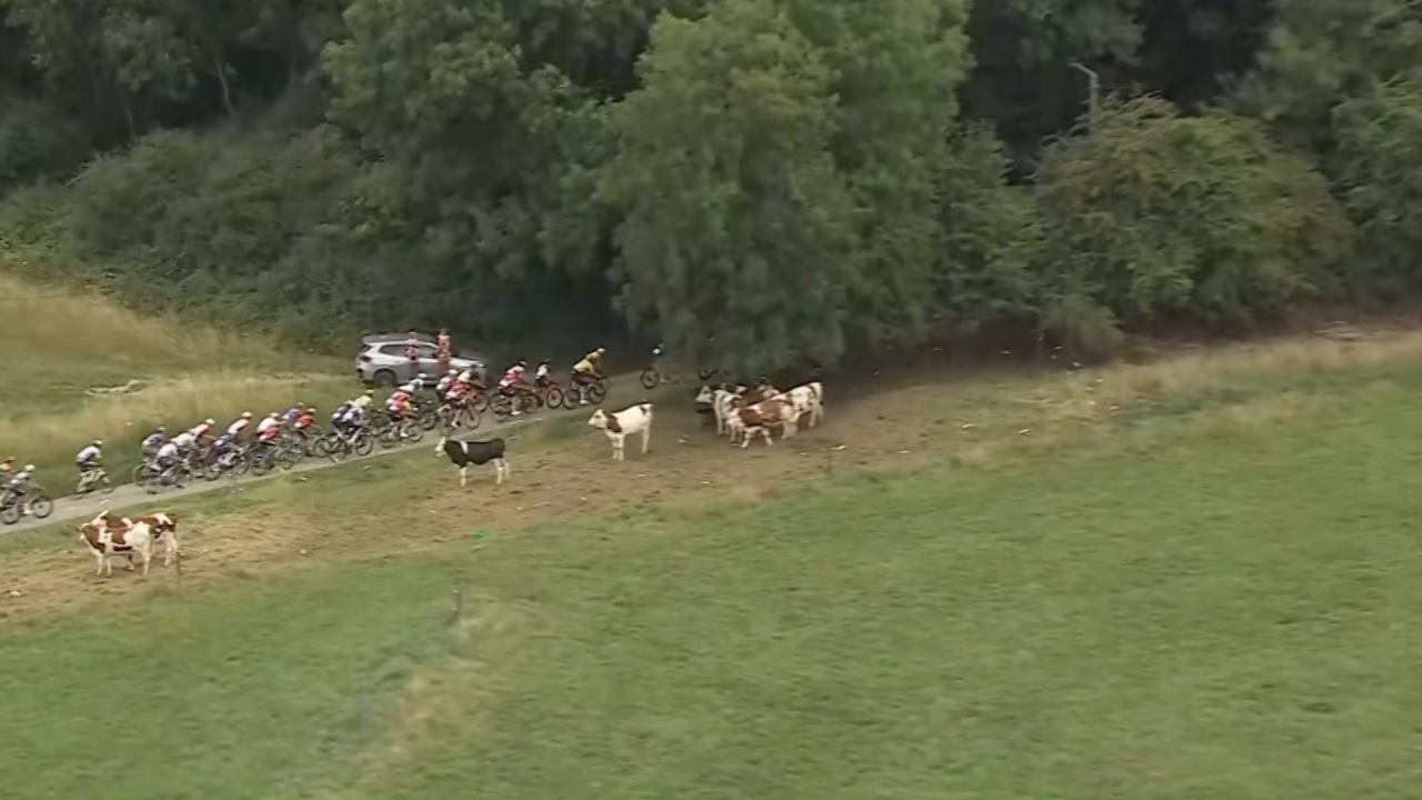 Tour de Wallonie 2025 – Stage 2 [LAST 10 KM]