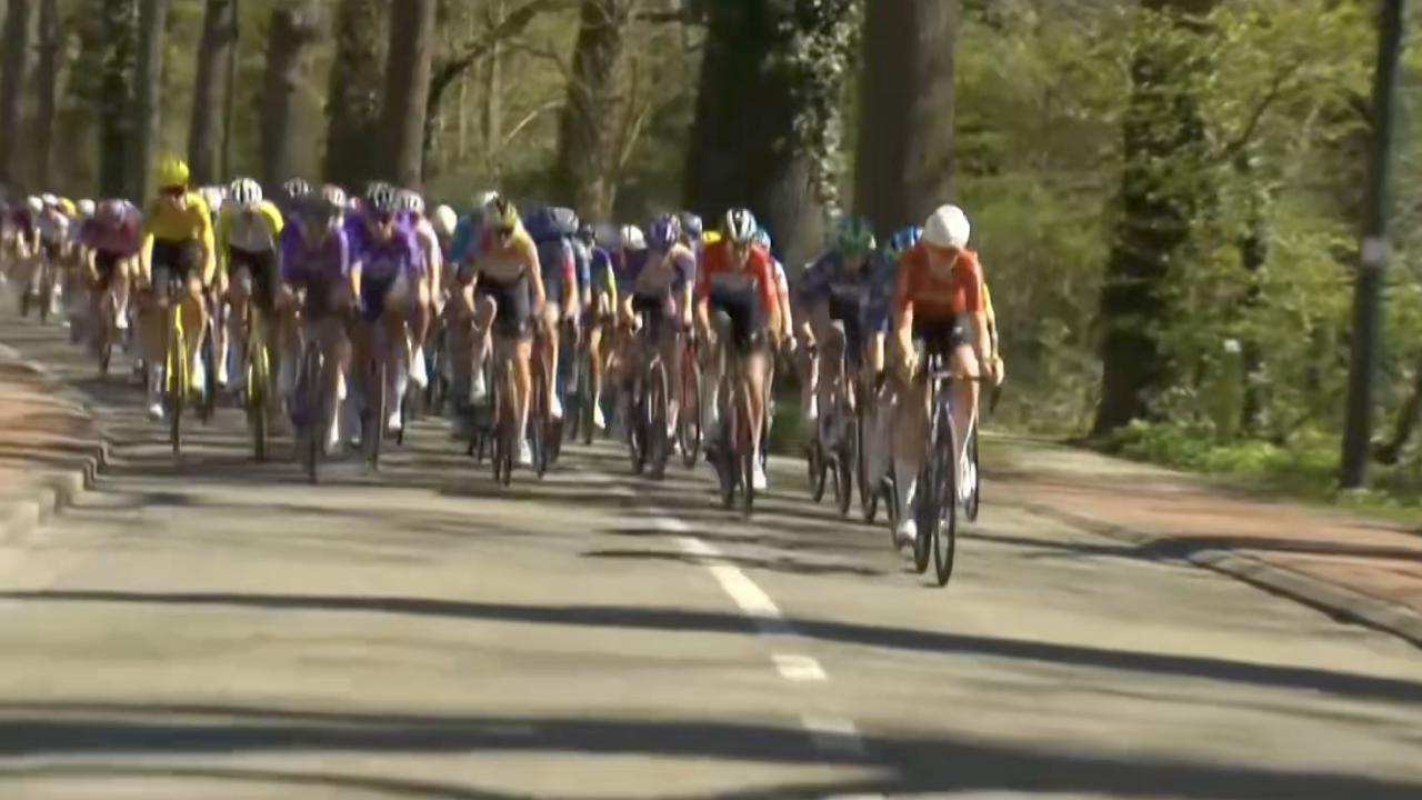 Scheldeprijs 2026 [FULL RACE] (ladies)