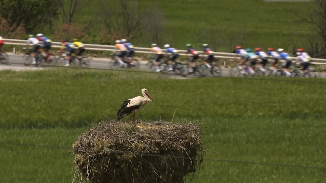 Giro d’Italia 2026 – Stage 03 [FULL STAGE]